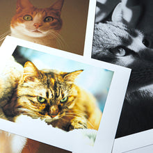 画像をギャラリービューアに読み込む, かんたん和紙プリント