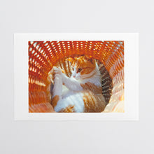 画像をギャラリービューアに読み込む, かんたん和紙プリント