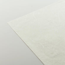 画像をギャラリービューアに読み込む, No.191(旧品番 169) 雲流二層紙 晒 A4サイズ