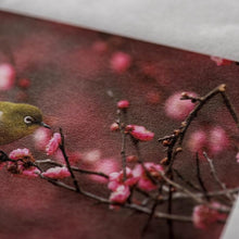 画像をギャラリービューアに読み込む, AIJP 楮 (薄口) 白 ロール(10m・15m)