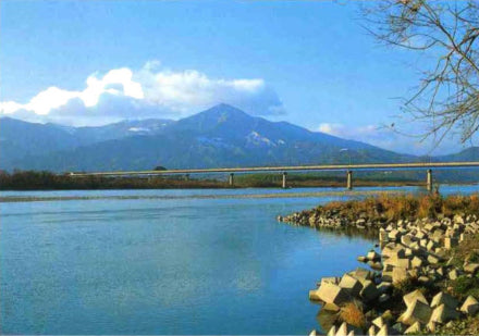 阿波和紙の歴史