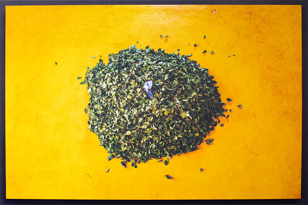 AIJP竹和紙170gを使ったフォトパネル作品