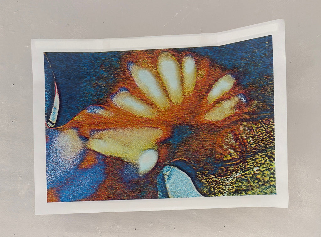 AIJP群雲こうぞ晒を使ったデジタルプリント作品