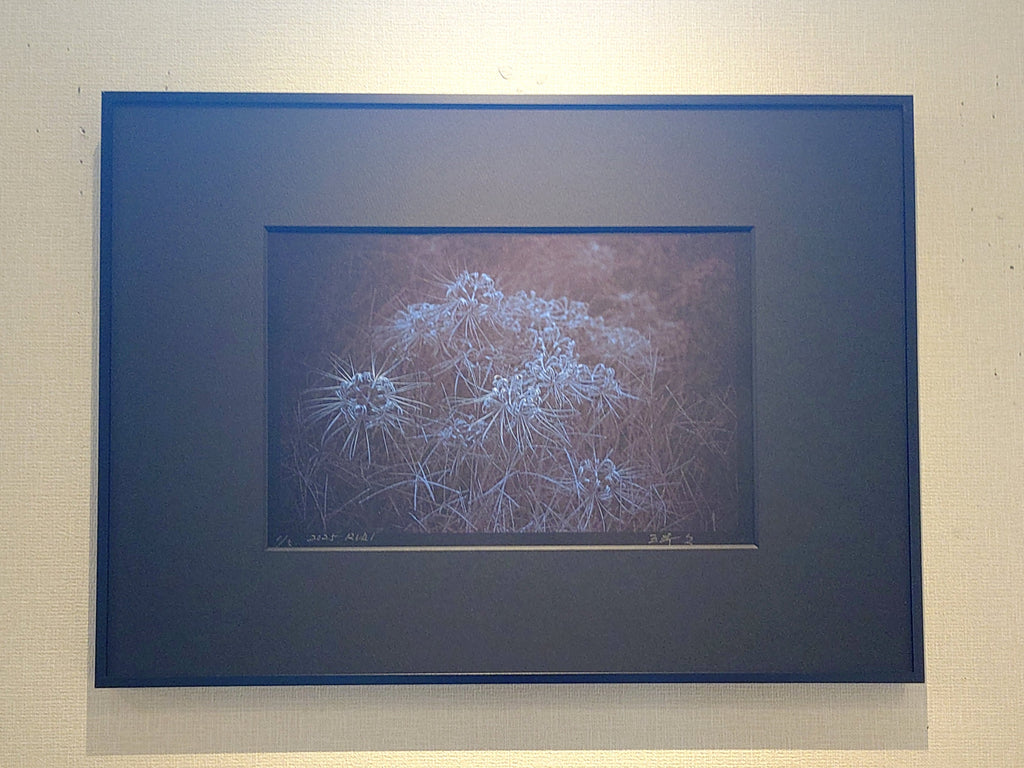 AIJP竹和紙を使った写真作品