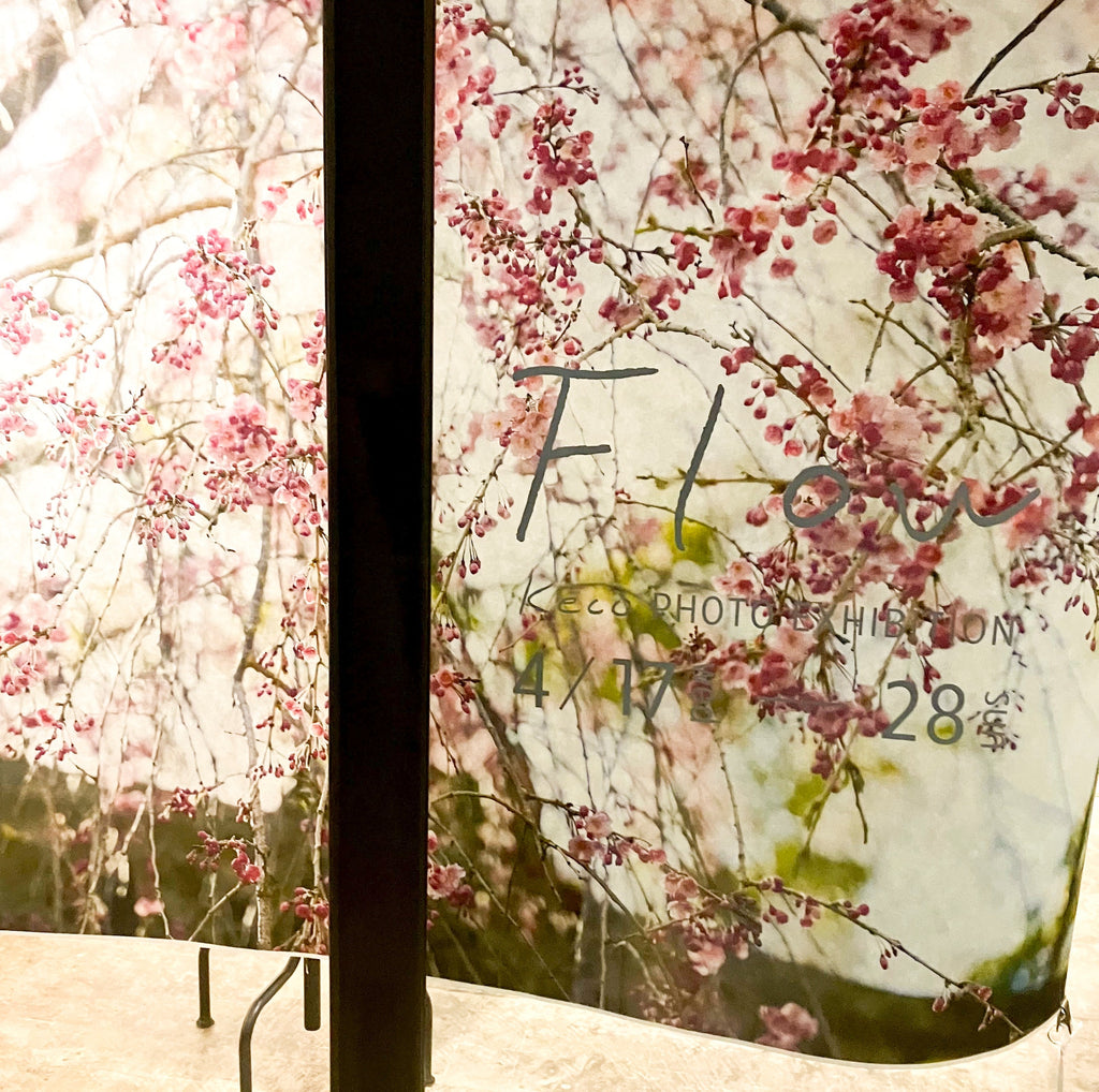 AIJP 竹和紙・びざん・楮を使った写真作品