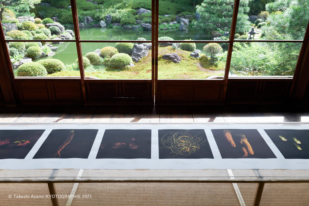 AIJP竹和紙110gを使った写真作品