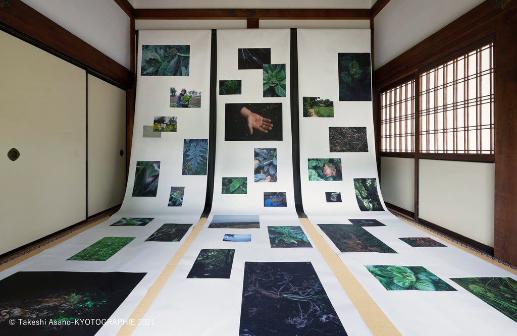 AIJPいんべ（厚口）白を使った写真作品