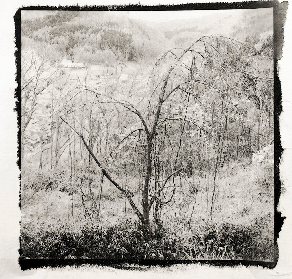 白峰を使ったプラチナプリント作品