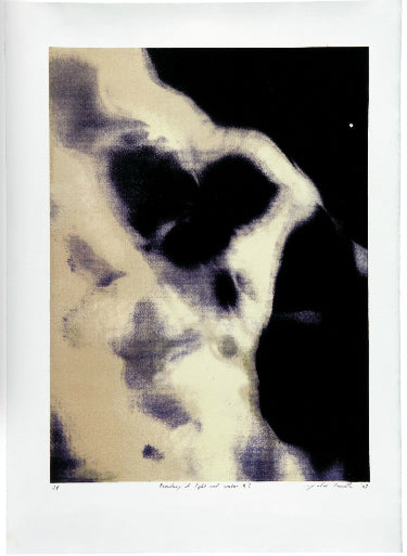 「阿波紙と版表現展2010」における出品作