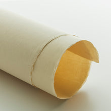 画像をギャラリービューアに読み込む, DHM-13 高知紙
