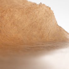 画像をギャラリービューアに読み込む, 青和幣
