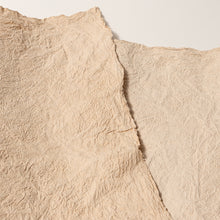 画像をギャラリービューアに読み込む, 青和幣
