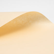 画像をギャラリービューアに読み込む, 【和紙のフラッシュセール】いんべ 生成 薄口 ＜限定品＞
