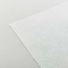 画像をギャラリービューアに読み込む, 春木紙ロール 970mm×10m
