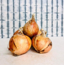 画像をギャラリービューアに読み込む, ベジタブル紙 玉葱
