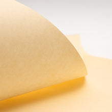 画像をギャラリービューアに読み込む, 【和紙のフラッシュセール】いんべ 生成 薄口 ＜限定品＞
