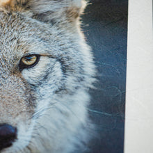 画像をギャラリービューアに読み込む, AIJP印字見本帳 A5サイズ
