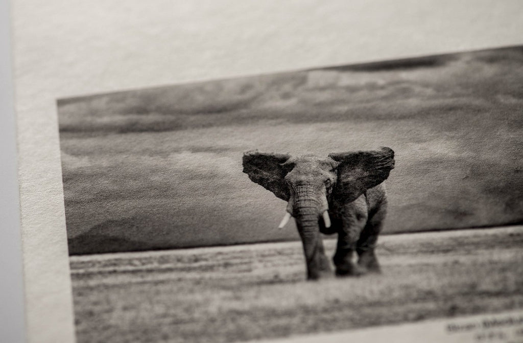 びざん 手漉き紙