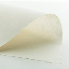 画像をギャラリービューアに読み込む, オカワラスチューデント
