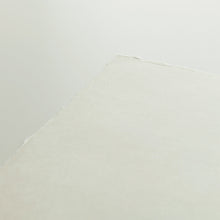 画像をギャラリービューアに読み込む, オカワラスチューデント
