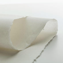 画像をギャラリービューアに読み込む, HM-4 三椏紙
