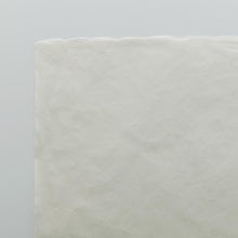 画像をギャラリービューアに読み込む, HM-5 雁皮紙
