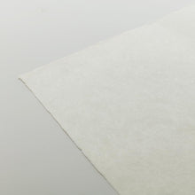 画像をギャラリービューアに読み込む, DHM-15 楮鳥の子
