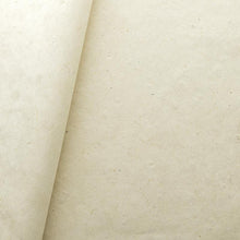 画像をギャラリービューアに読み込む, ベジタブル紙 コーン
