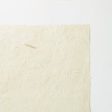 画像をギャラリービューアに読み込む, ナチュラルペーパー ミカド
