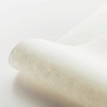 画像をギャラリービューアに読み込む, W-5（MM-1）泰山
