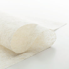 画像をギャラリービューアに読み込む, 銀和紙 W-16
