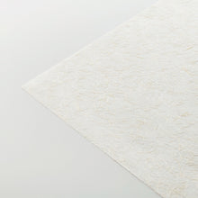 画像をギャラリービューアに読み込む, 銀和紙 W-16
