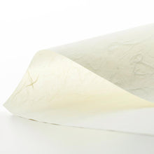 画像をギャラリービューアに読み込む, No.191（旧品番 169） 雲流二層紙 晒 A4サイズ
