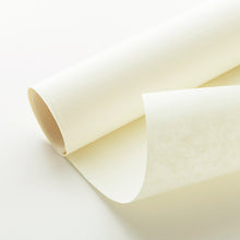 画像をギャラリービューアに読み込む, 白峰 生成 薄口
