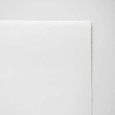 竹和紙セレクト