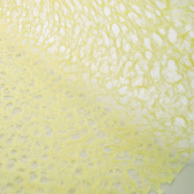 画像をギャラリービューアに読み込む, 麻落水紙 イエロー

