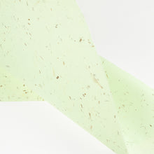 画像をギャラリービューアに読み込む, ナチュラルペーパー オニオン
