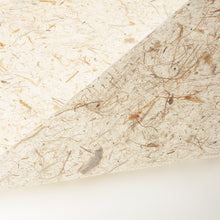 画像をギャラリービューアに読み込む, ナチュラルペーパー バナナ
