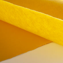 画像をギャラリービューアに読み込む, 民芸紙 M-4 菜種色
