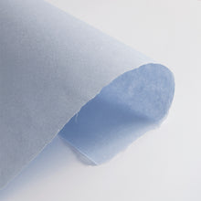 画像をギャラリービューアに読み込む, 民芸紙 M-21 うすふじ
