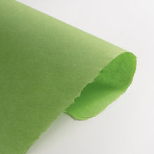 画像をギャラリービューアに読み込む, 民芸紙 M-36 若竹色
