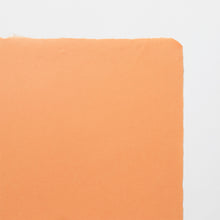 画像をギャラリービューアに読み込む, 民芸紙 M-38 かぞう色
