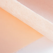 画像をギャラリービューアに読み込む, 民芸紙 M-63 はだ色
