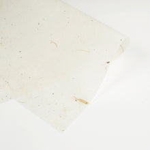 画像をギャラリービューアに読み込む, ナチュラルペーパー ビックバーク
