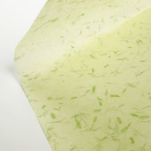 画像をギャラリービューアに読み込む, ナチュラルペーパー タマリンド グリーン（No.13）
