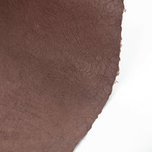 画像をギャラリービューアに読み込む, 強制紙 Ｋ-10 檜皮
