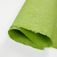 画像をギャラリービューアに読み込む, 強制紙 Ｋ-20 萌葱色
