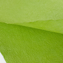 画像をギャラリービューアに読み込む, 強制紙 Ｋ-20 萌葱色
