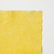 画像をギャラリービューアに読み込む, 強制紙 Ｋ-53 菜の花色
