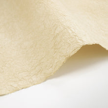 画像をギャラリービューアに読み込む, 強制紙 Ｋ-65 藁色
